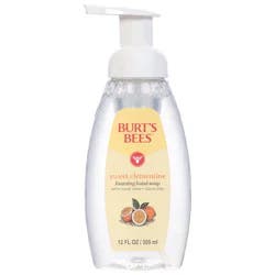 Burt's Bees Foaming Hand Soap