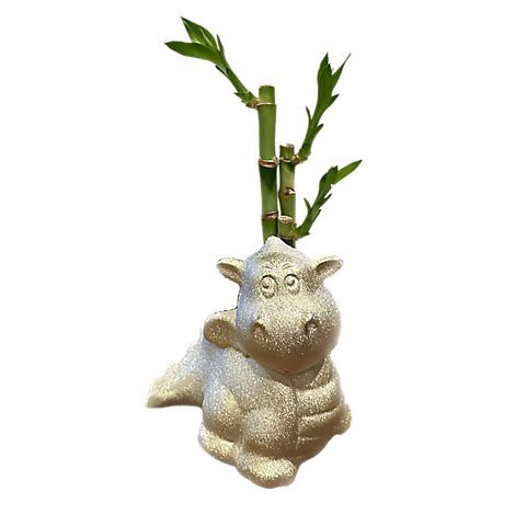 slide 1 of 1, 3 Stem Lucky Bamboo Novelty Decor - Each, 1 ct
