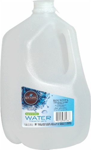 slide 1 of 1, Roundy's Roundys Spring Water, 1 gal