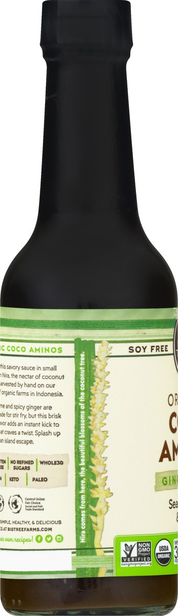 slide 9 of 13, Big Tree Farms Organic Gingery Lime Coco Aminos 10 oz, 10 oz