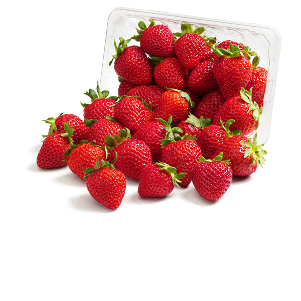 slide 1 of 1, Driscoll's Organic Strawberries, 16 oz