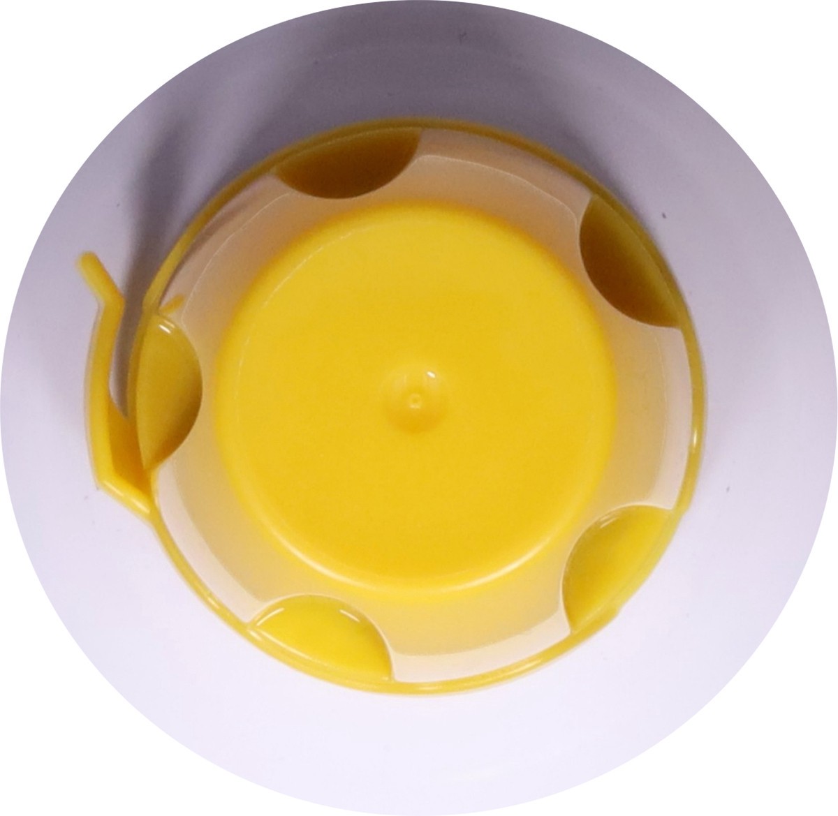 slide 2 of 14, Credo Oat Milk Cheddar Style Cheeze 8 oz, 8 oz