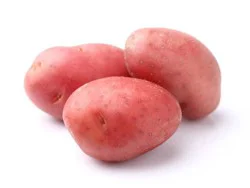 Fresh from the Start Organic Red Potatoes