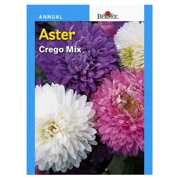 slide 1 of 1, Burpee Aster Crego Mix Seeds, 1 ct