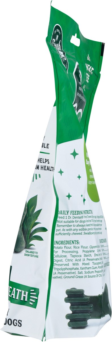 slide 12 of 12, Dr. Dental Medium Fresh Chews 16 ea, 16 oz