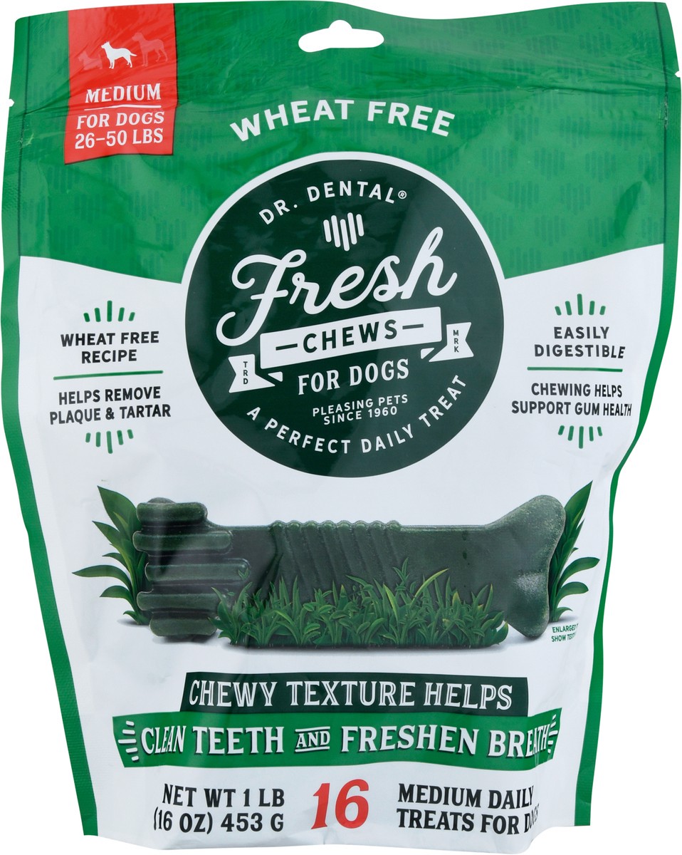 slide 5 of 12, Dr. Dental Medium Fresh Chews 16 ea, 16 oz