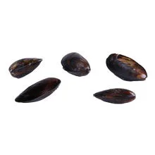 Gordon Choice Chilean Cooked Mussels