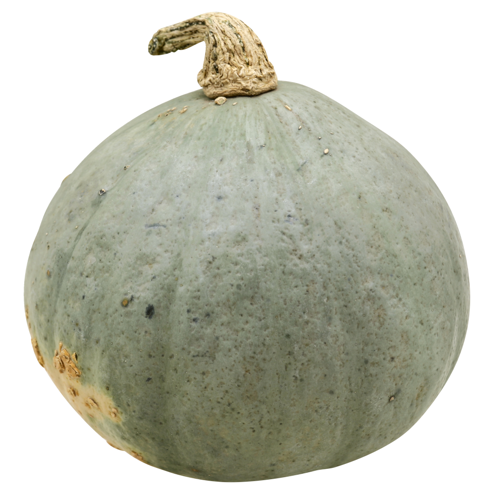 slide 1 of 1, Golden Hubbard Squash, 1 ct
