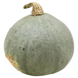 Golden Hubbard Squash