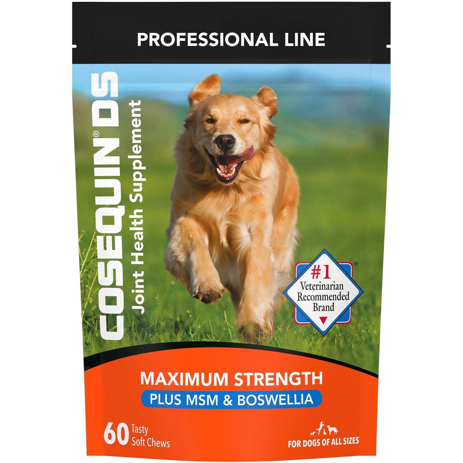 slide 1 of 1, Cosequin DS Joint Health Supplement plus MSM Chewables, 60 ct