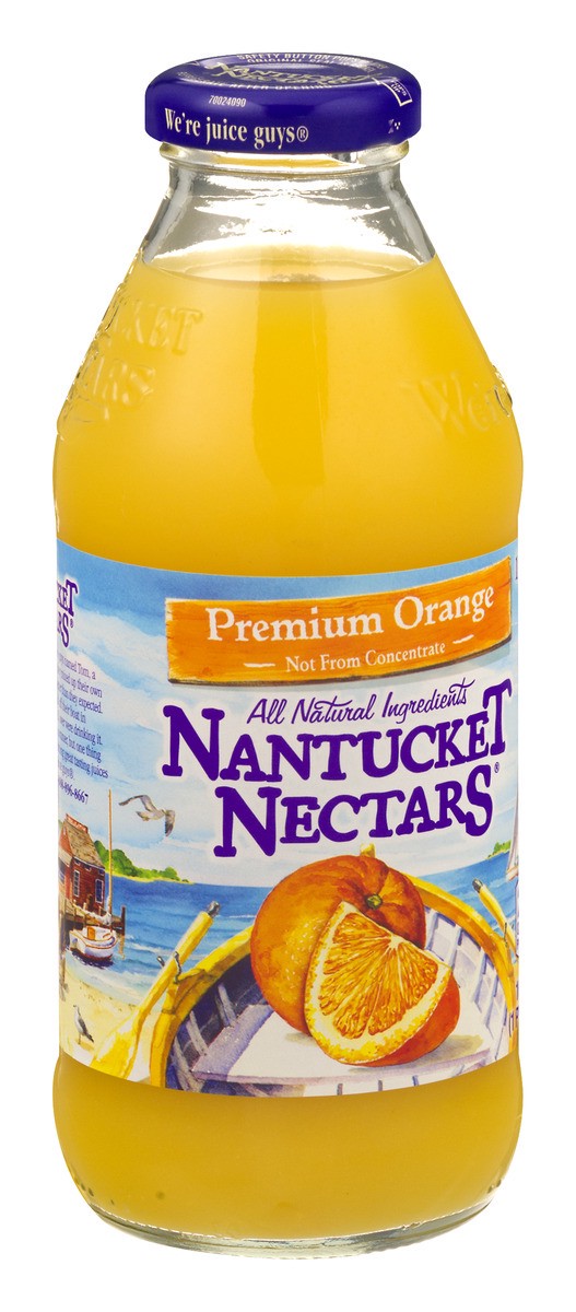 slide 6 of 9, Nantucket Nectars Premium Orange, 16 fl oz