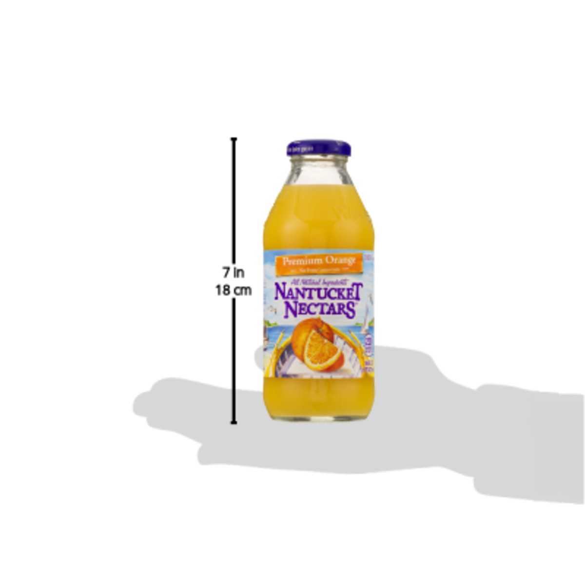 slide 2 of 9, Nantucket Nectars Premium Orange, 16 fl oz