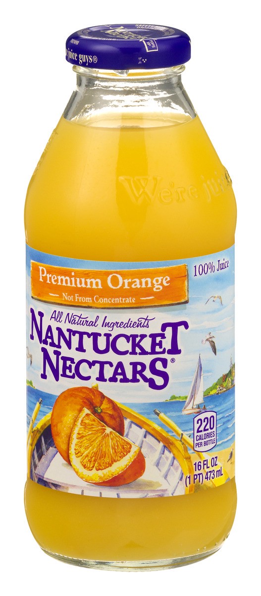 slide 3 of 9, Nantucket Nectars Premium Orange, 16 fl oz