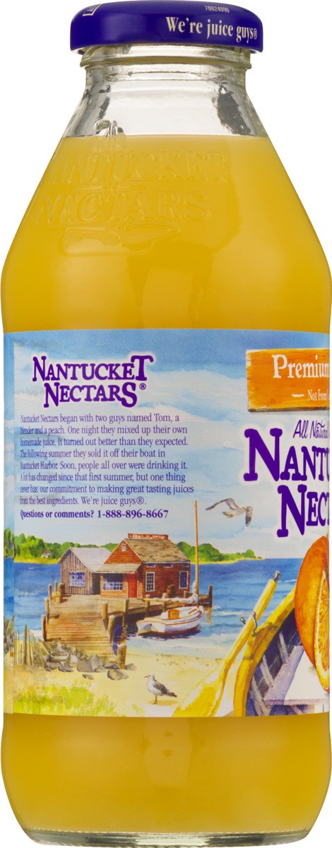 slide 5 of 9, Nantucket Nectars Premium Orange, 16 fl oz