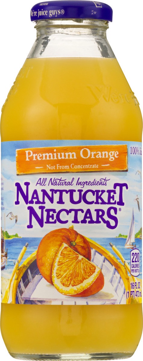slide 8 of 9, Nantucket Nectars Premium Orange, 16 fl oz