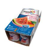 slide 1 of 1, Yoplait Light Yogurt Watermelon Pch, 48 oz