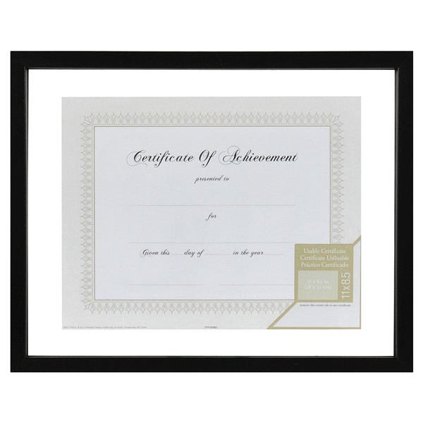 slide 1 of 1, Pinnacle 14 X 11 Black Floating Document Frame, 1 ct