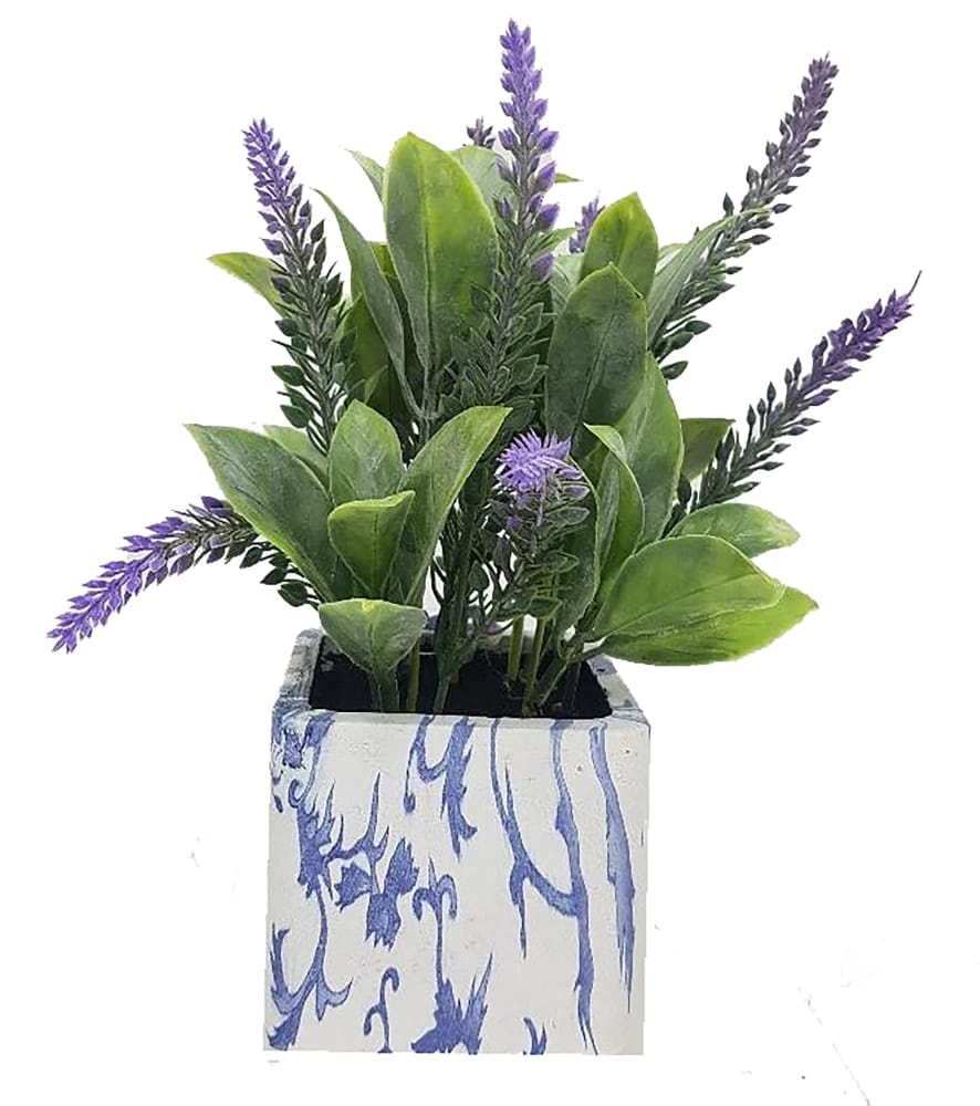 slide 1 of 1, HD Designs Potted Heather Plant - Blue, 1 ct