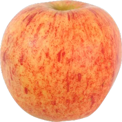Organic Gala Apples - Small