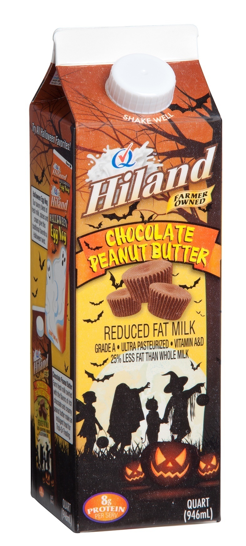 slide 1 of 1, Hiland Dairy Chocolate Peanut Butter Milk, 1 qt