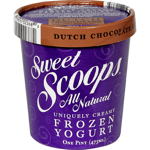 slide 2 of 2, Sweet Scoops Dutch Chocolate Chip Frozen Yogurt, 16 fl oz