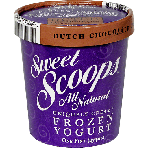slide 1 of 2, Sweet Scoops Dutch Chocolate Chip Frozen Yogurt, 16 fl oz