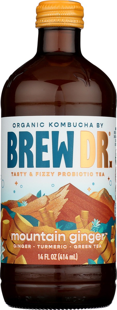 slide 6 of 9, Brew Dr. Kombucha Organic Ginger Turmeric - 14 fl oz, 14 fl oz