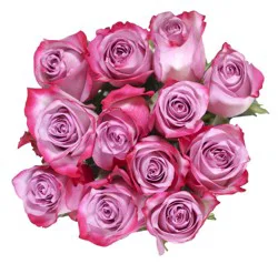 Fresh Lavender Roses - Dozen Bunch