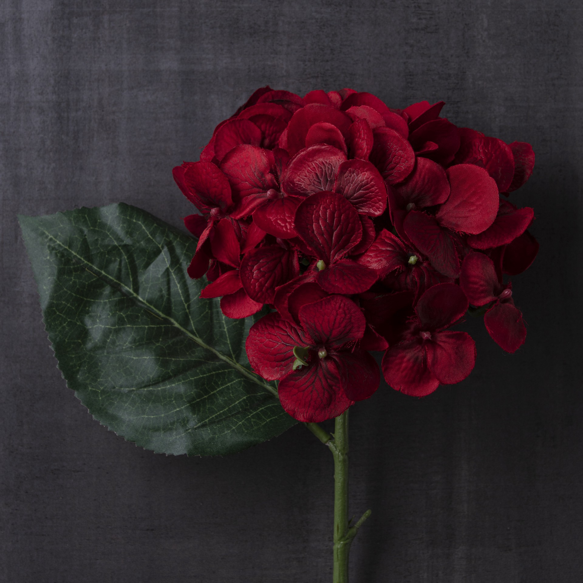 slide 3 of 4, 25" Hydrangea Stem By Ashland, 25 in