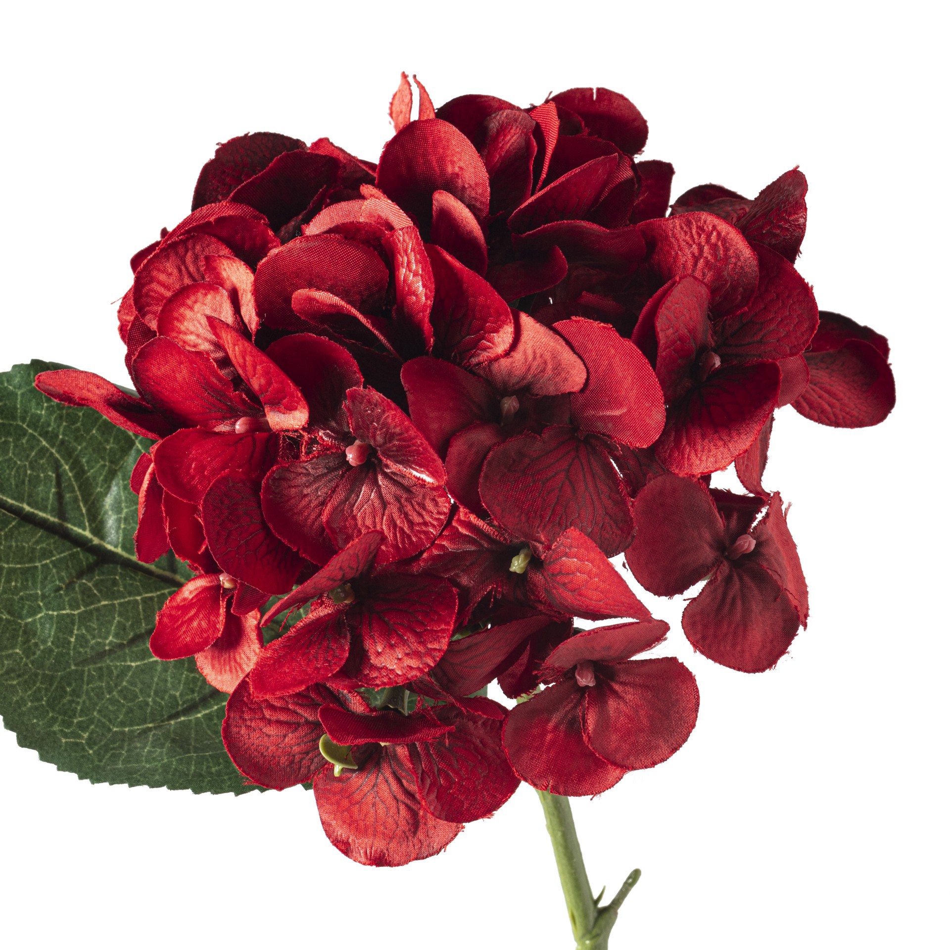 slide 2 of 4, 25" Hydrangea Stem By Ashland, 25 in