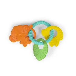 Bright Starts Tropical Chews Silicone Teething Ring - Monkey, Leaf, Banana