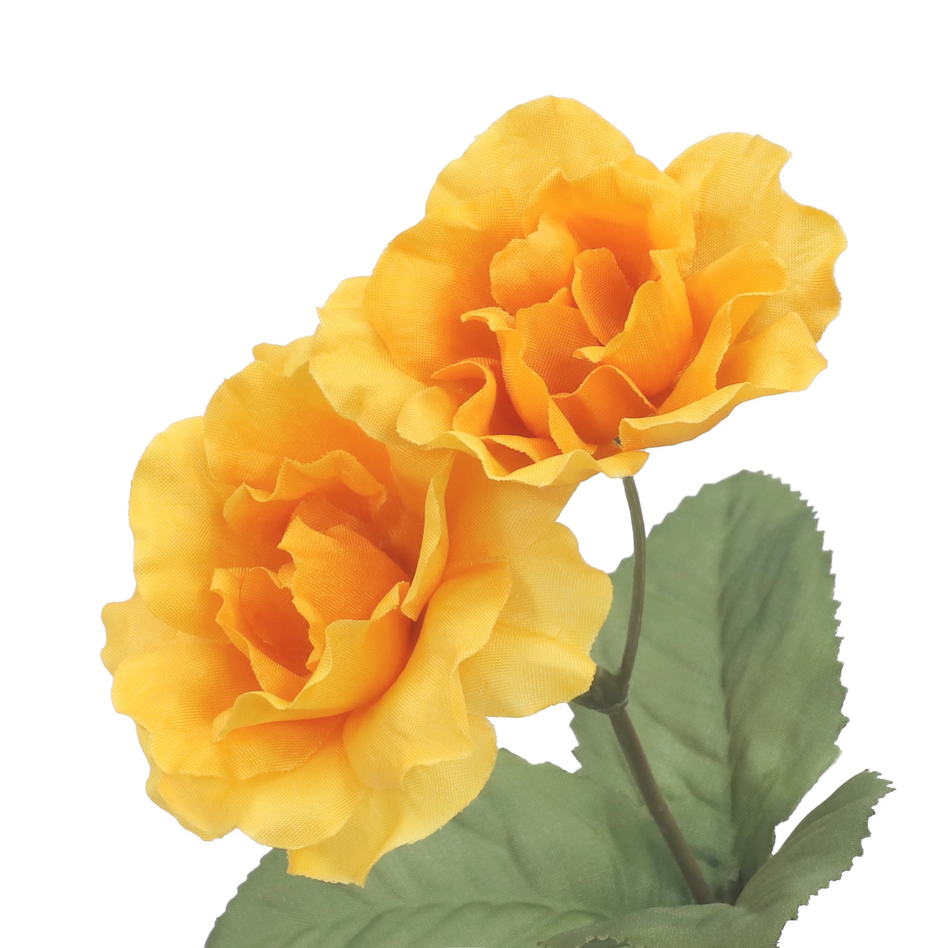 slide 2 of 3, 15" Wild Rose Bush By Ashland, 15 in