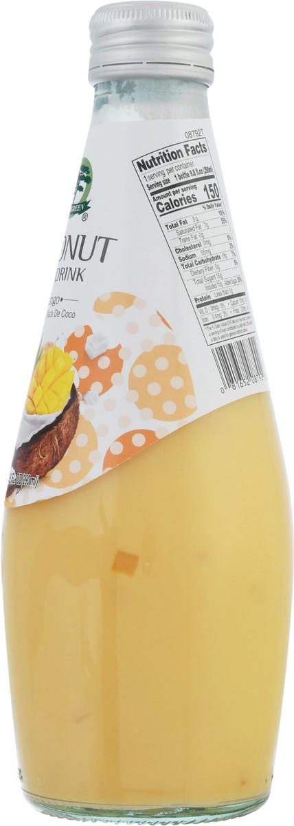 slide 8 of 14, Evergreen Non Dairy Coconut Mango Milk Drink 9.8 fl oz, 9.8 fl oz