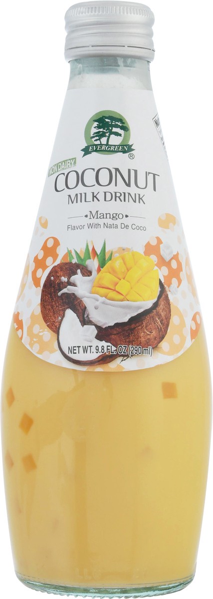 slide 5 of 14, Evergreen Non Dairy Coconut Mango Milk Drink 9.8 fl oz, 9.8 fl oz