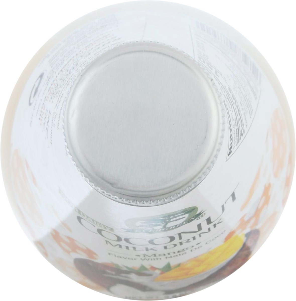 Evergreen Coconut Milk Drink Mango 9.8 fl oz Shipt