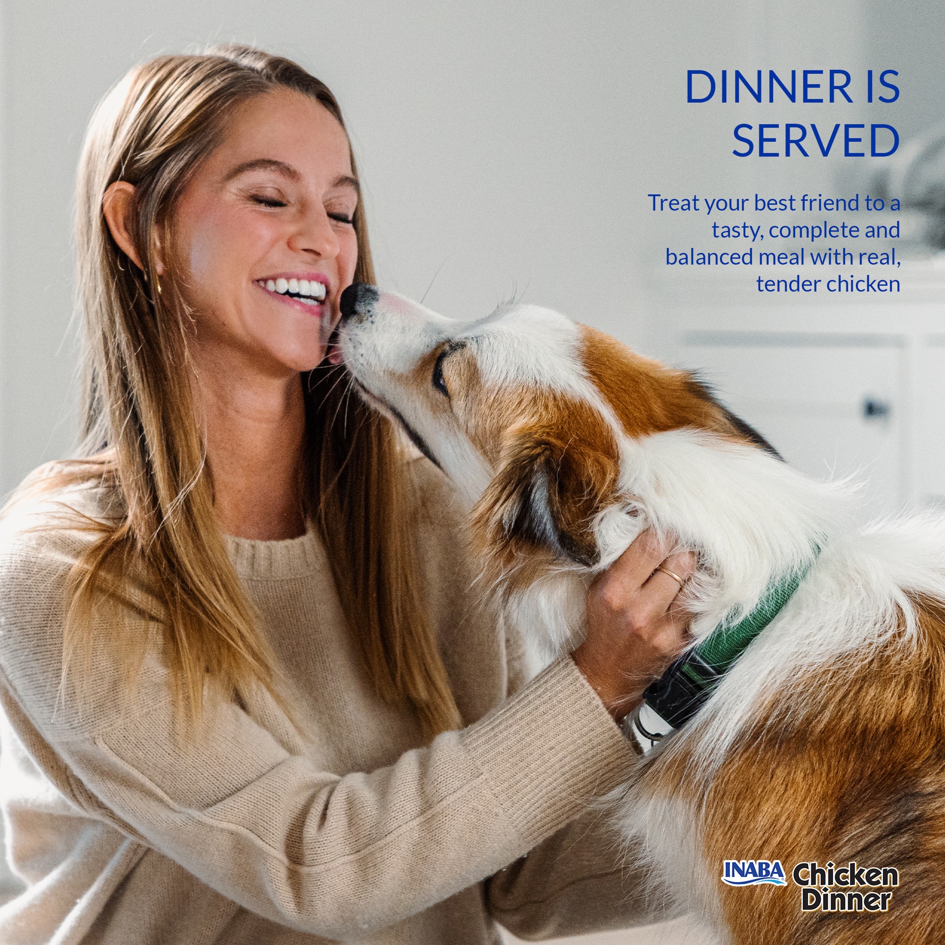 slide 6 of 6, Inaba Chicken Dinner For Dog, Complete & Balanced, Soft, Smooth Pâté Dog Food, 2.4 oz. Pouch, 5 Pouches, Beef & Vegetables Variety, 5 ct