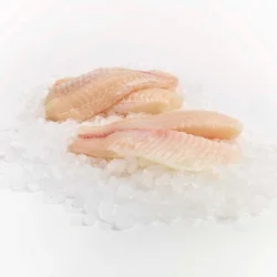 Tilapia Fillet