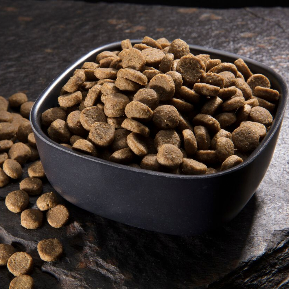 CRAVE Grain Free Adult High Protein Natural Dry Cat Food with Protein