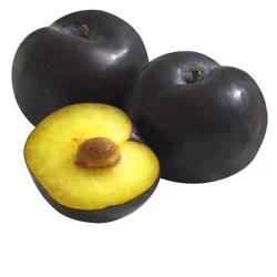 Organic Plum Pouch