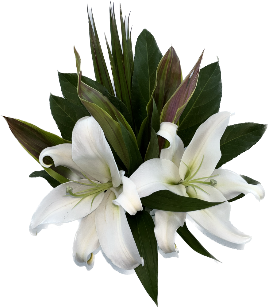 slide 2 of 2, 4 Seasons Growers Simply Classic, 1 ct