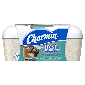 slide 1 of 1, Charmin Freshmates Cloth Tub, 40 ct