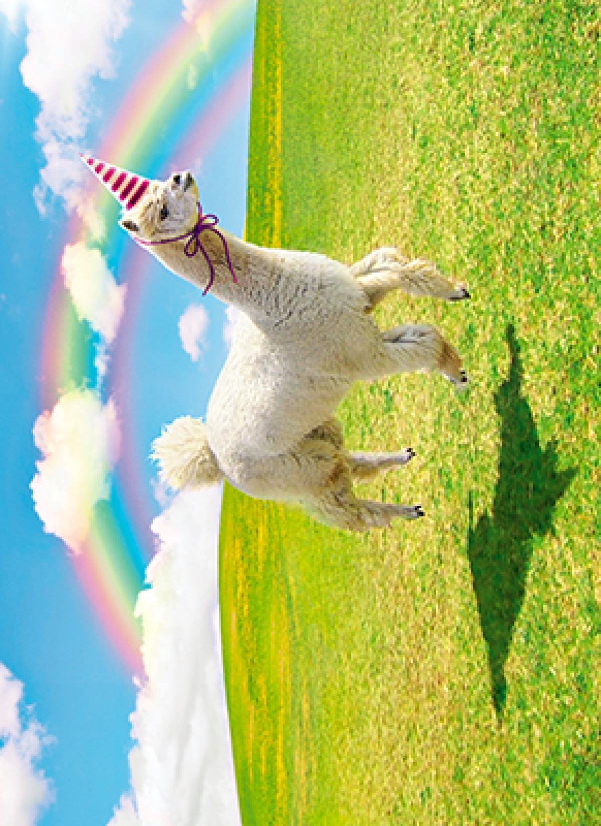 slide 1 of 1, Avanti Card Bday Alpaca Unicorn, 1 ct
