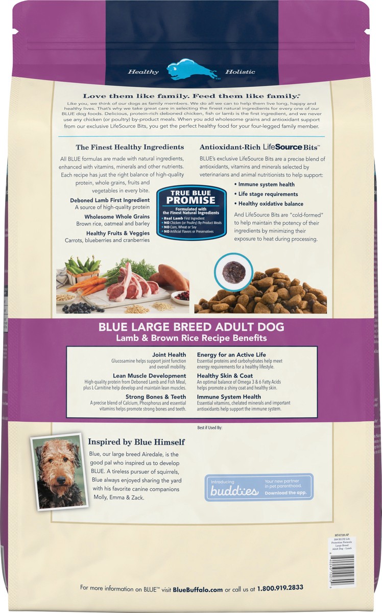 slide 9 of 10, Blue Buffalo Life Protection Formula Natural Adult Large Breed Dry Dog Food, Lamb and Brown Rice 30-lb, 30 lb