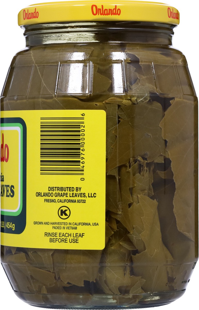 slide 6 of 9, Orlando California Grape Leaves, 16 oz