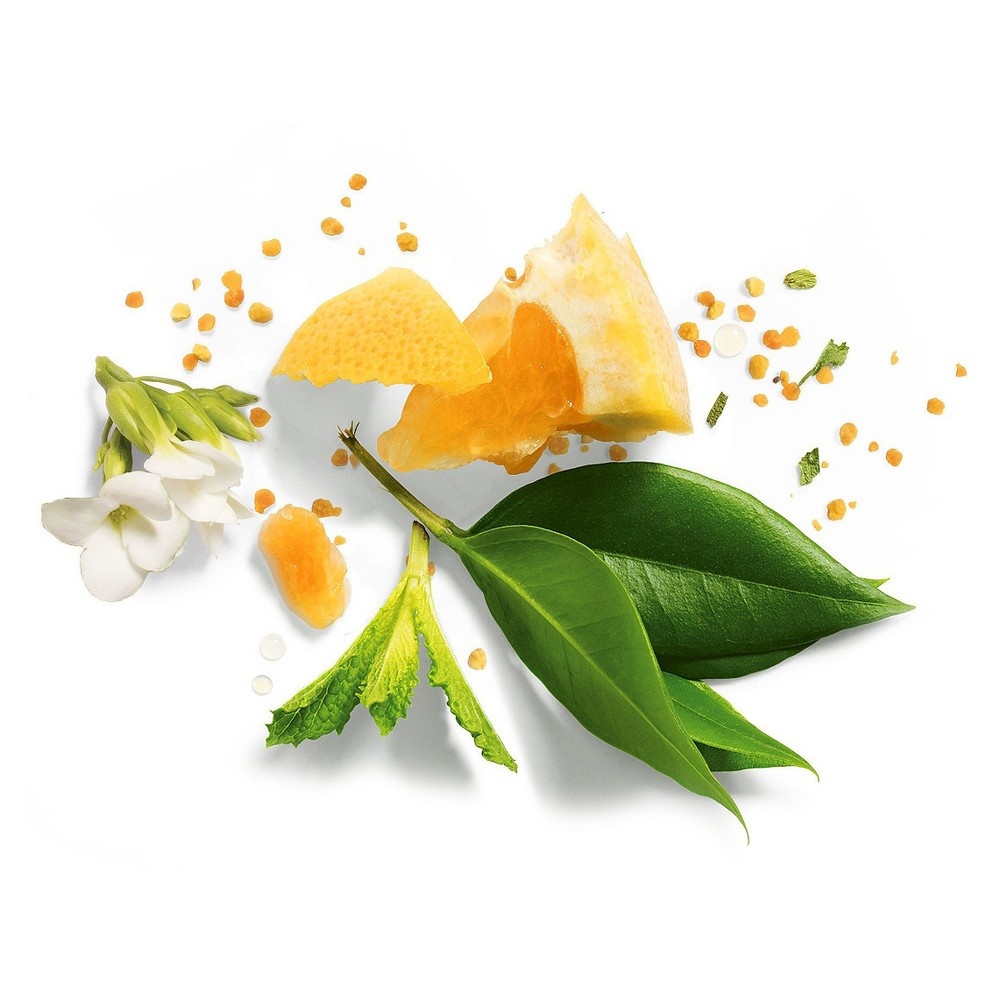 slide 4 of 5, Herbal Essences Bio:Renew Nourish Passion Flower & Rice Milk Conditioner, 13.5 fl oz