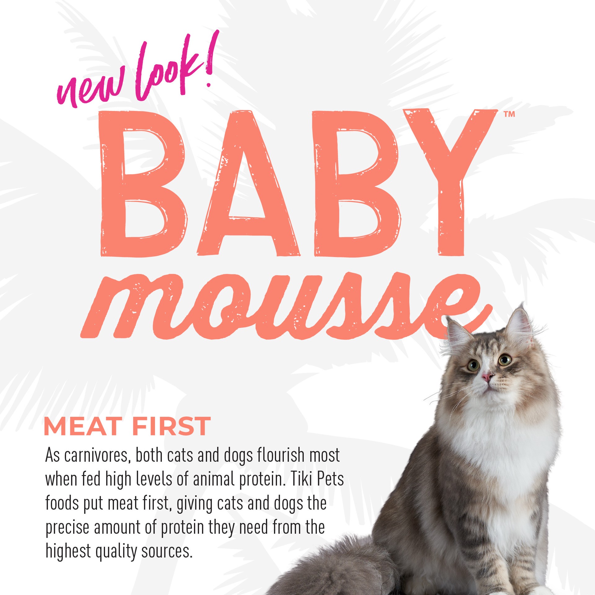 slide 3 of 9, Tiki Cat Baby Mousse Wet Cat Food for Kittens, Salmon & Chicken, 2.4 oz. Pouch, 2.4 oz