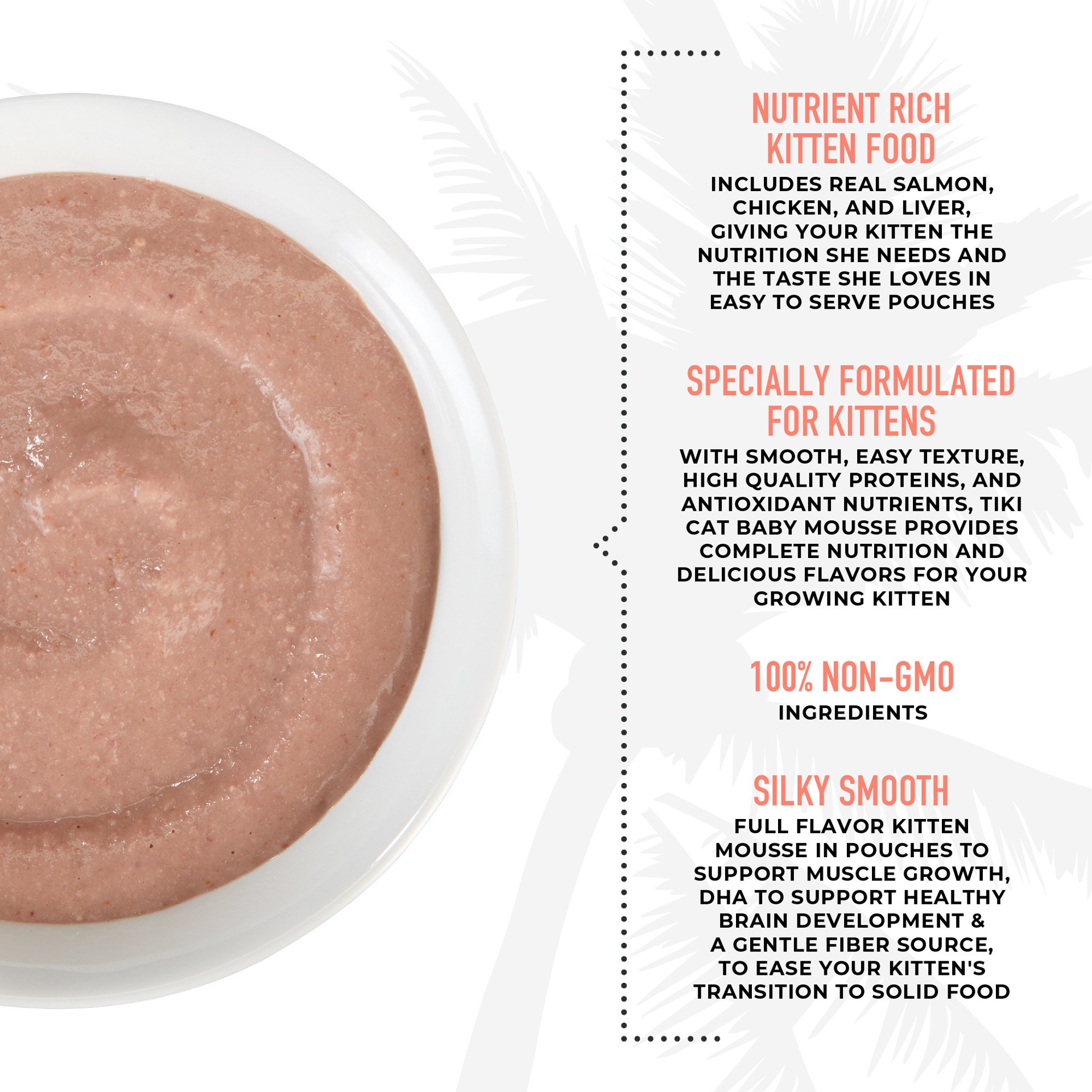 slide 6 of 9, Tiki Cat Baby Mousse Wet Cat Food for Kittens, Salmon & Chicken, 2.4 oz. Pouch, 2.4 oz