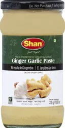 Shan Paste 310 g