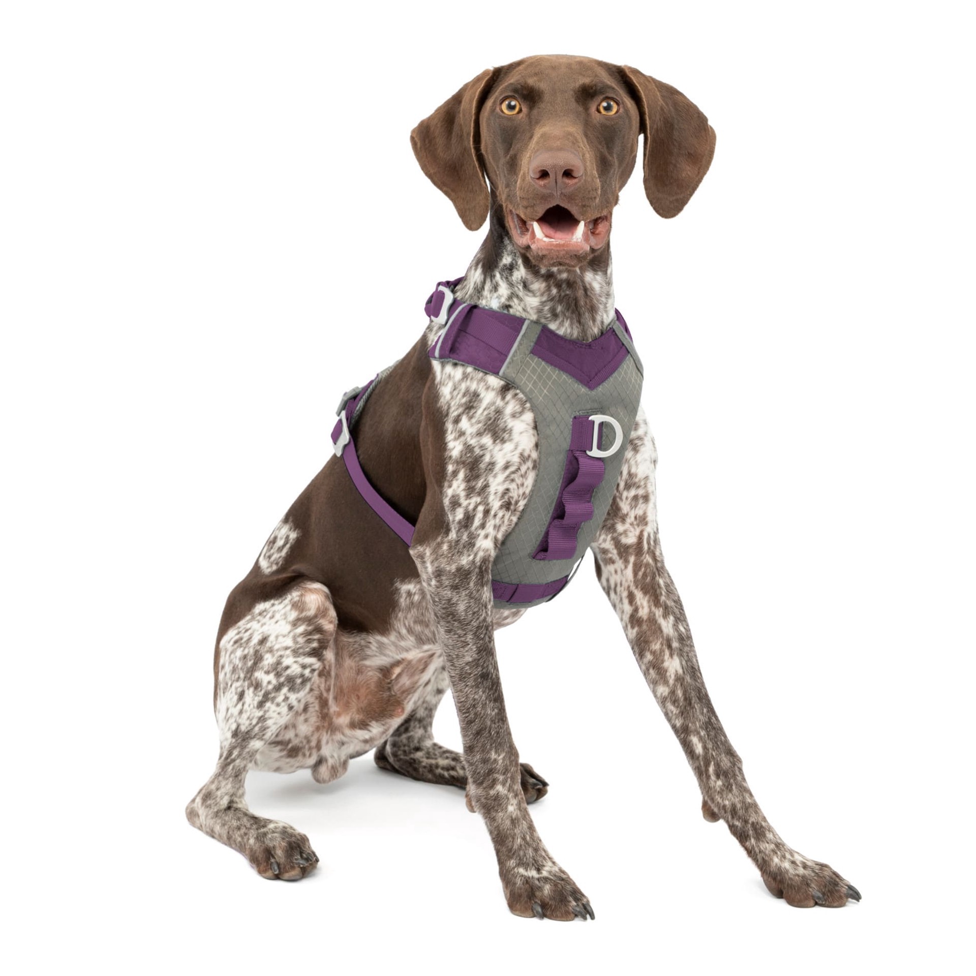slide 1 of 1, Kurgo Purple Journey Air Vest Dog Harness, Medium, 1 ct