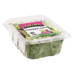 Olivias Organic Sweet Baby Lettuce - 5 Oz